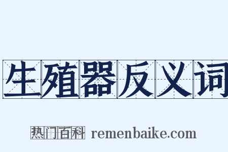 生殖器反义词是什么意思的图片